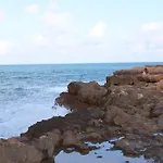 Locos טורבייחה